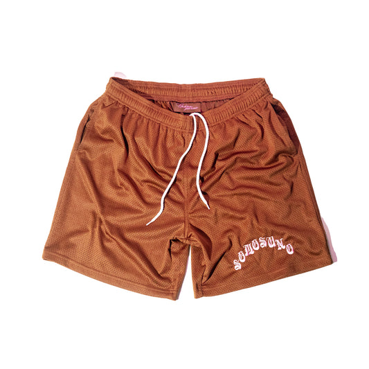 ALVARADO MESH SHORT